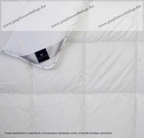 Billerbeck SANITEX mosható paplan, 135x200 cm ( 800 g)